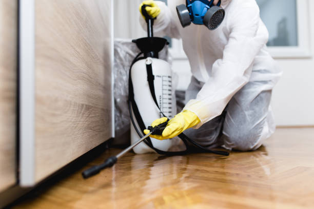 Best Mosquito Control Services  in Coopertown, TN