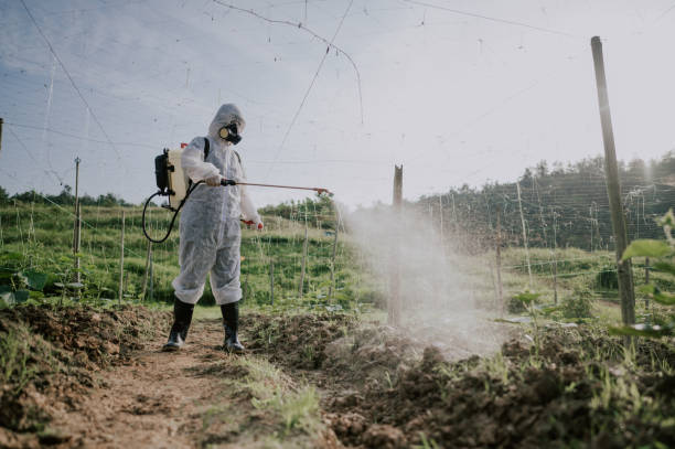 Wasp Removal Services in Coopertown, TN