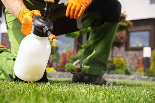 Best Wasp Removal Services  in Coopertown, TN