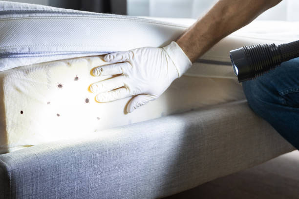 Best Bed Bug Extermination  in Coopertown, TN