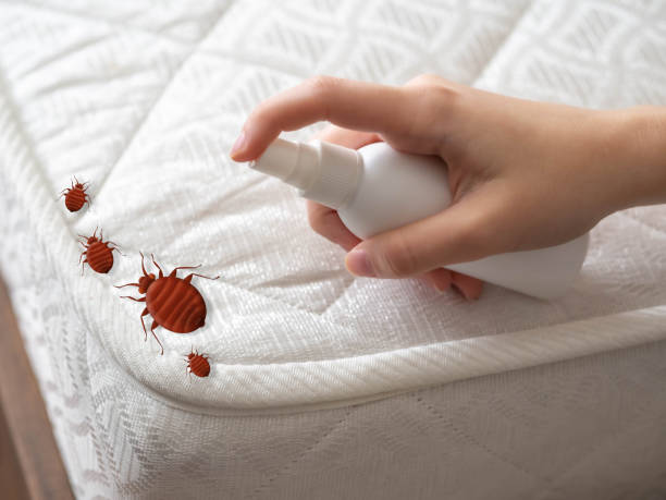 Best Residential Pest Control  in Coopertown, TN